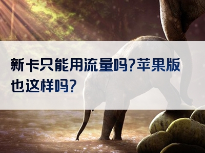 新卡只能用流量吗？苹果版也这样吗？