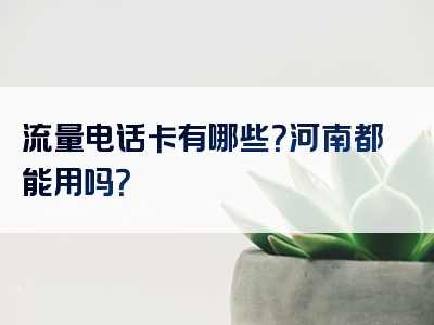 流量电话卡有哪些？河南都能用吗？