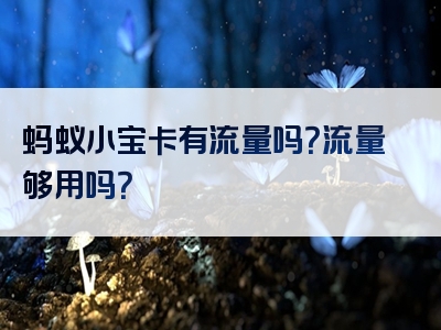 蚂蚁小宝卡有流量吗？流量够用吗？