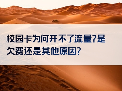 校园卡为何开不了流量？是欠费还是其他原因？
