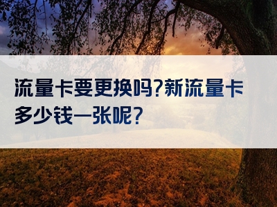 流量卡要更换吗？新流量卡多少钱一张呢？