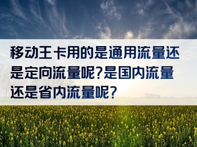 移动王卡用的是通用流量还是定向流量呢？是国内流量还是省内流量呢？