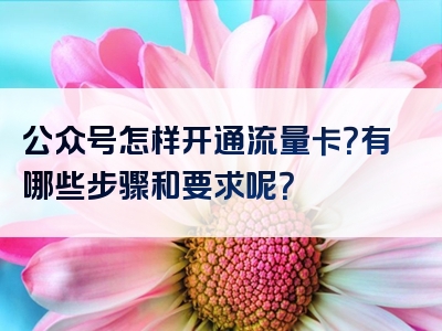 公众号怎样开通流量卡？有哪些步骤和要求呢？