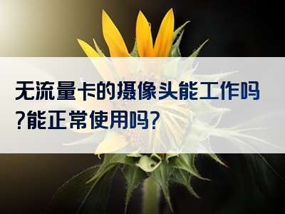 无流量卡的摄像头能工作吗？能正常使用吗？