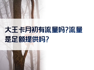 大王卡月初有流量吗？流量是足额提供吗？