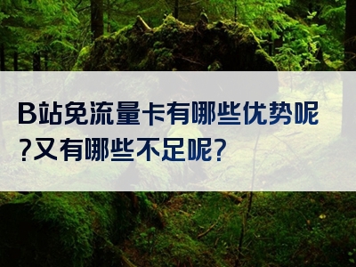 B站免流量卡有哪些优势呢？又有哪些不足呢？