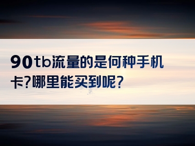 90tb流量的是何种手机卡？哪里能买到呢？