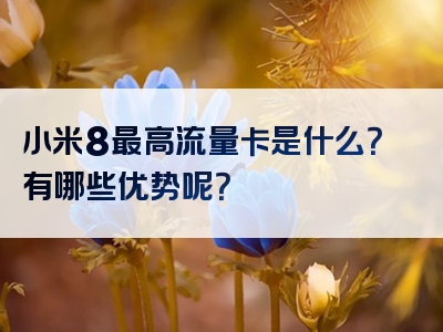 小米8最高流量卡是什么？有哪些优势呢？