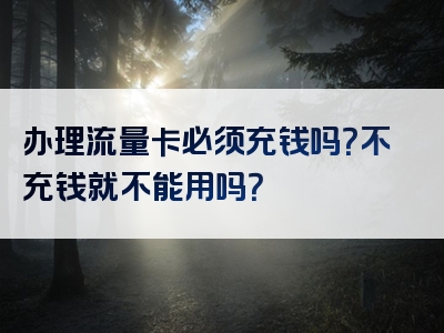 办理流量卡必须充钱吗？不充钱就不能用吗？