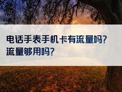 电话手表手机卡有流量吗？流量够用吗？