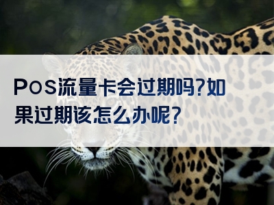 Pos流量卡会过期吗？如果过期该怎么办呢？