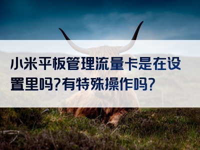 小米平板管理流量卡是在设置里吗？有特殊操作吗？