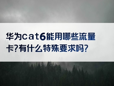 华为cat6能用哪些流量卡？有什么特殊要求吗？