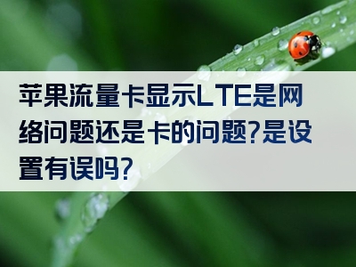苹果流量卡显示LTE是网络问题还是卡的问题？是设置有误吗？