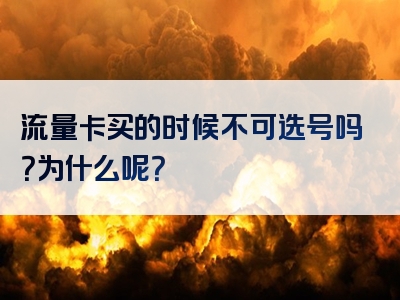 流量卡买的时候不可选号吗？为什么呢？