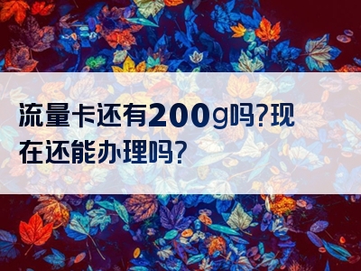流量卡还有200g吗？现在还能办理吗？