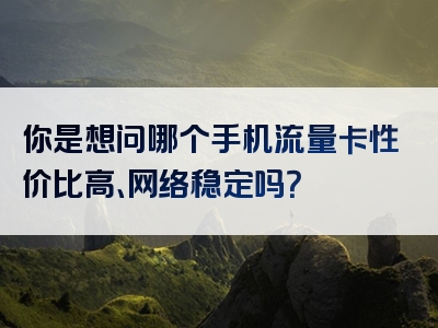 你是想问哪个手机流量卡性价比高、网络稳定吗？
