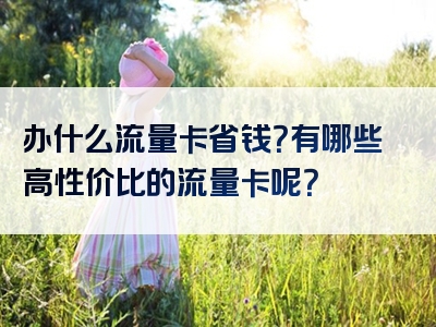 办什么流量卡省钱？有哪些高性价比的流量卡呢？