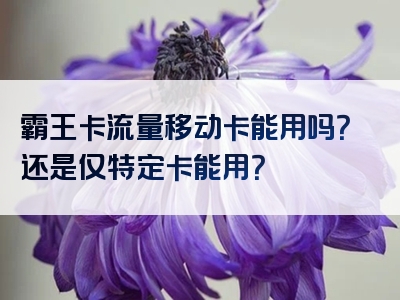 霸王卡流量移动卡能用吗？还是仅特定卡能用？