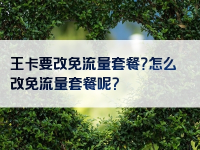 王卡要改免流量套餐？怎么改免流量套餐呢？