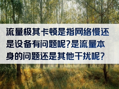 流量极其卡顿是指网络慢还是设备有问题呢？是流量本身的问题还是其他干扰呢？