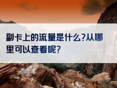副卡上的流量是什么？从哪里可以查看呢？