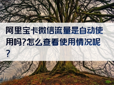 阿里宝卡微信流量是自动使用吗？怎么查看使用情况呢？