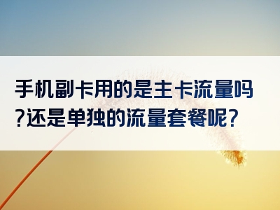 手机副卡用的是主卡流量吗？还是单独的流量套餐呢？