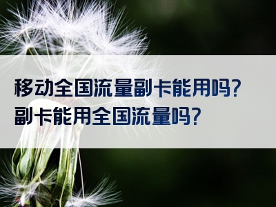 移动全国流量副卡能用吗？副卡能用全国流量吗？