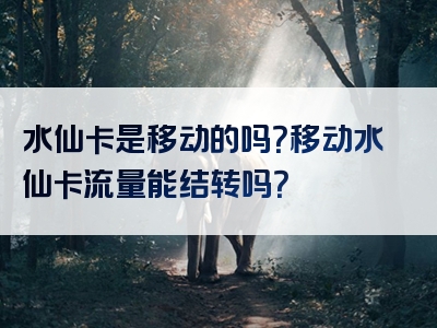 水仙卡是移动的吗？移动水仙卡流量能结转吗？